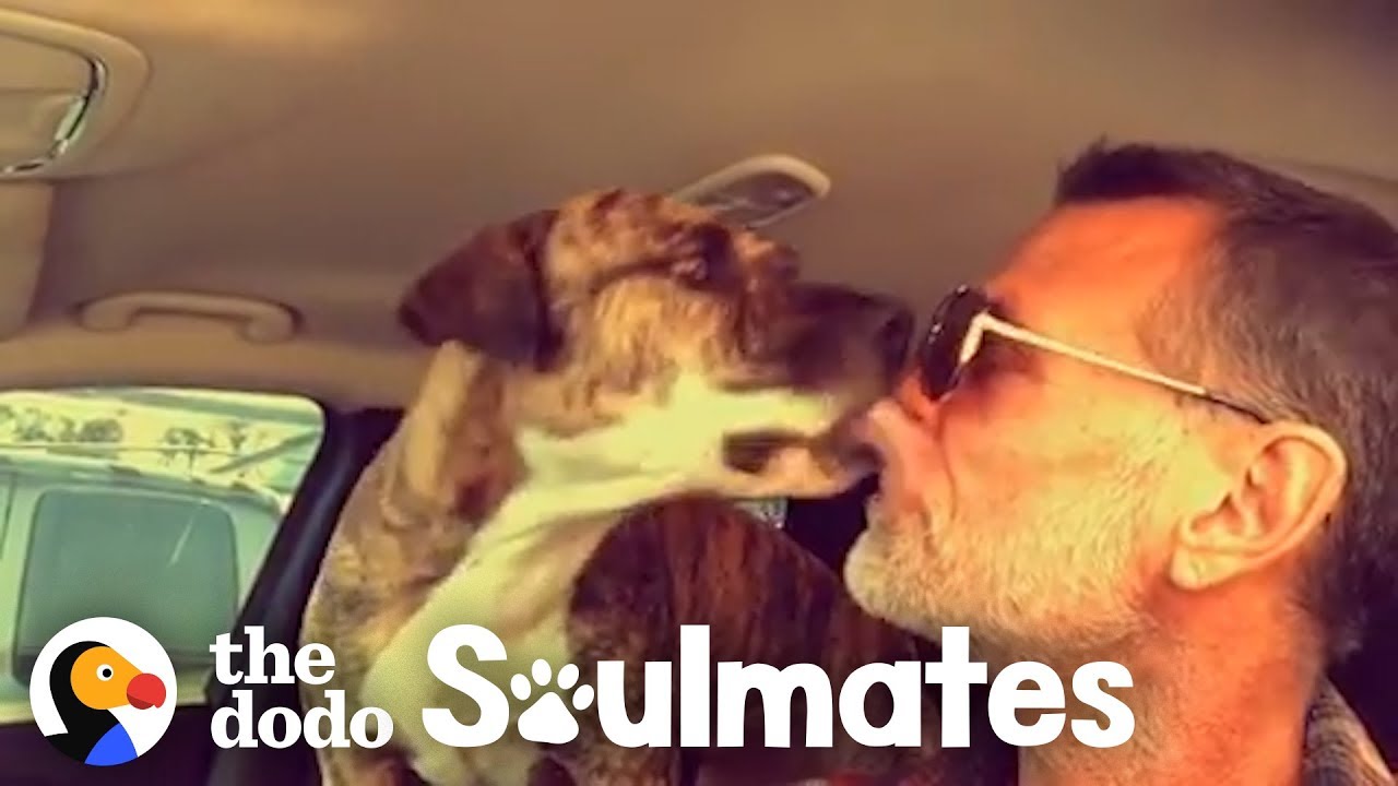 Watch This Guy Reunite With His Pit Bull That Went Missing In Car Crash | The Dodo Soulmates