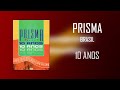 Prisma Brasil | 10 Anos | DVD Completo