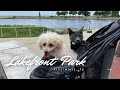 Kissimmee Lakefront Park, FL - Stroll w/Pets &amp; Picnic