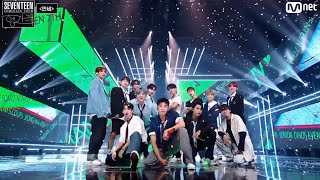 Seventeen mansae  