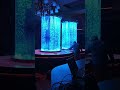 Transparent LED Film Used in A Bar Glass Cylinder