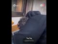 أم فلسطينية تجهش بالبكاء فرحا لرؤية ابنها على قيد الحياة بعدما فقدته عقب قصف إسرائيلي على غزة