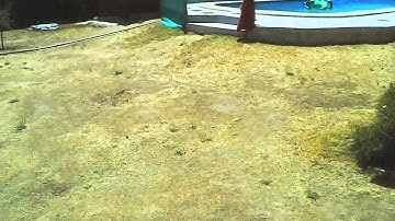 Syma x5c-1 test flight (against a bit of wind)