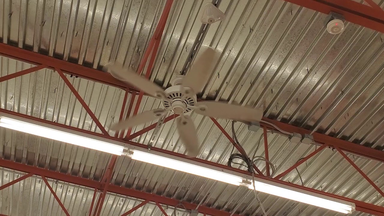 52 Hunter Highbury Ceiling Fans At Autozone Youtube