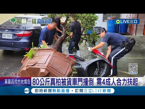 好貴的車禍! 貨車門沒鎖好 撞倒"10萬柏樹"壓損汽機車 80公斤真柏需4成人合力扶起 1年只長3公分!"庭園樹"百萬身價 專家細呵護│【LIVE大現場】20230816│三立新聞台