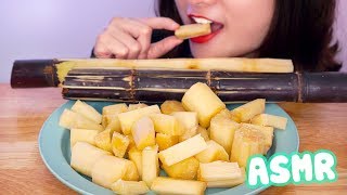 ASMR Sugar Cane Mukbang *Extreme Juicy Eating Sounds | D-ASMR