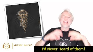 Chilled Rhythms: Exploring the Depths of 'Cold Waves Divde Us' by Midas Fall