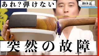 三味線壊れた】修理してみた応急処置【突然故障する!?中子付け
