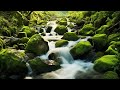 Meditation Music 15 Minutes: Mind Relaxing Music, Spa Music Relaxation, Calm Music, Flowing Stream