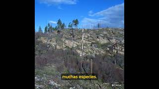 Biodiversidad Biodiversidad