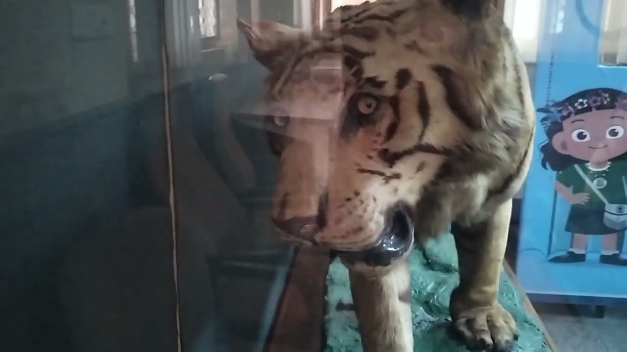 Uttrakhand Dehradun IGNFA