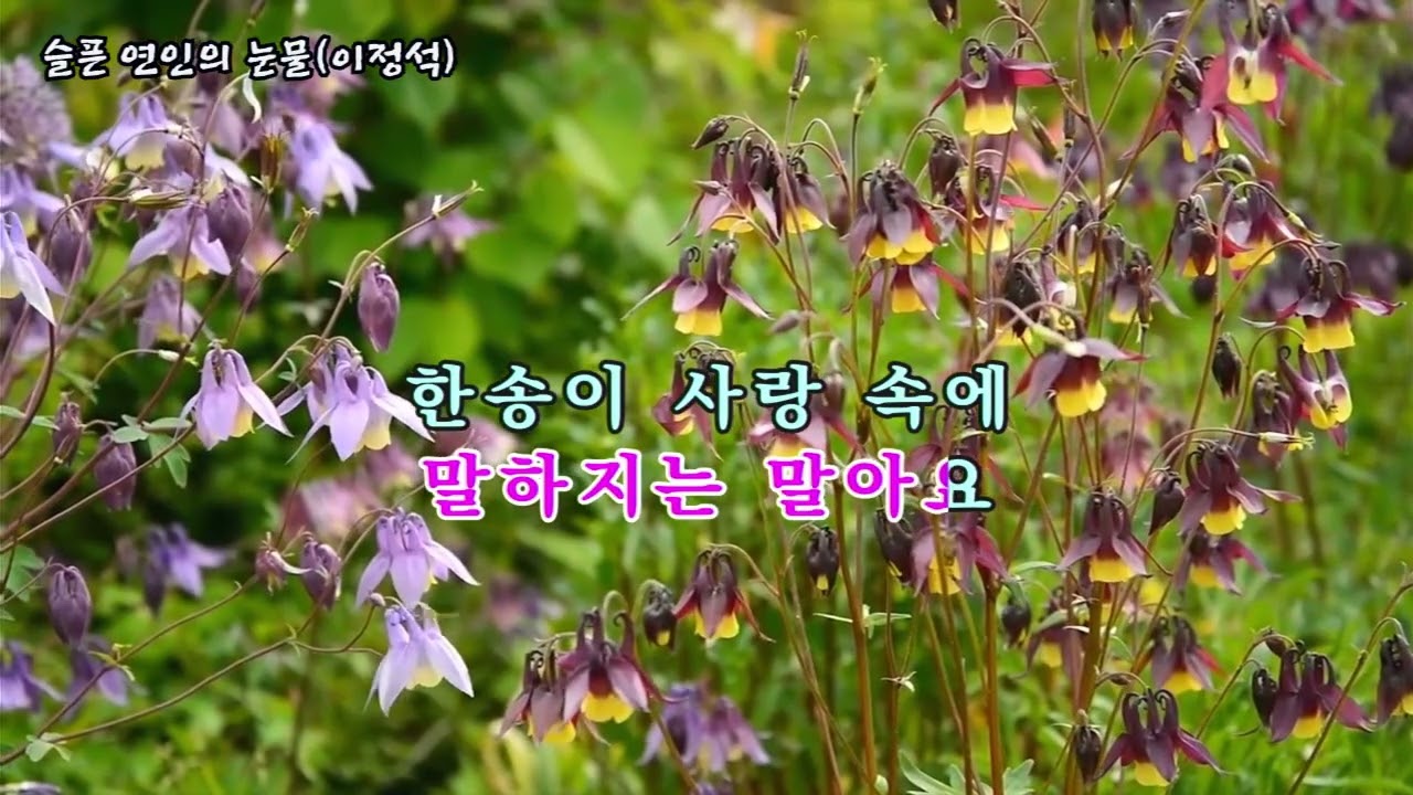 슬픈 연인의 눈물(이정석), #가요, #노래, #휴식, #힐링, #shorts, #잔잔한, #발라드, #조용한, #기쁨, #kpop