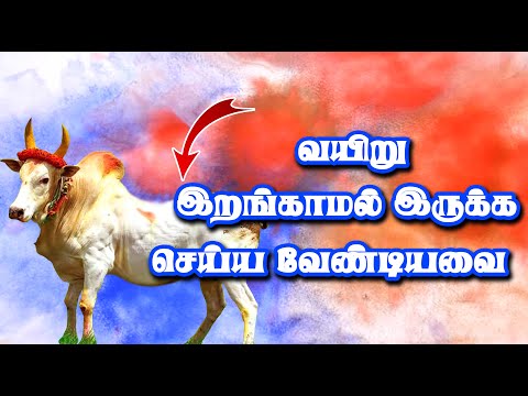 மாடுகளுக்கு வயிறு இறங்காமல் இருக்க என்ன செய்ய வேண்டும் என்ன செய்ய கூடாது