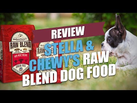 stella-&-chewy's-raw-blend-dog-food-review
