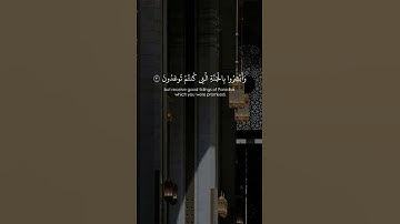 ما تيسر من سورة فصلت بصوت الشيخ ناصر القطامي 🤍