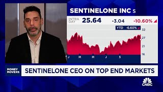 Famous SentinelOne CEO on Q3 results, competition in cybersecurity Wealth
