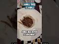 [서배너 맛집 스시하나] #풀러 일식집 #풀러 스시하나 #미국 사바나 #사바나이모저모