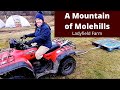 LADYFIELD FARM - A Mountain of Molehills