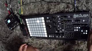 Medusa  synth |  random melody with 4 chords in 3 note polyphony mode