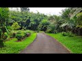 Sri-lanka. Ambuluwawa Tower. Botanic garden.