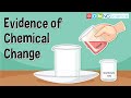 Chemical Reactions with Vinegar and Bicarbonate