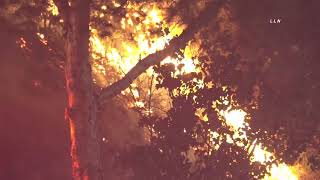 Brush Fire Quickly Knocked Down | COVINA, CA  5.24.21