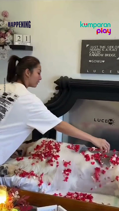 Momen Haru Ganindra Bimo dan Andrea Dian Melepas Anjingnya yang Mati