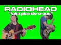 Radiohead  fake plastic trees cover by joe edelmann and taka