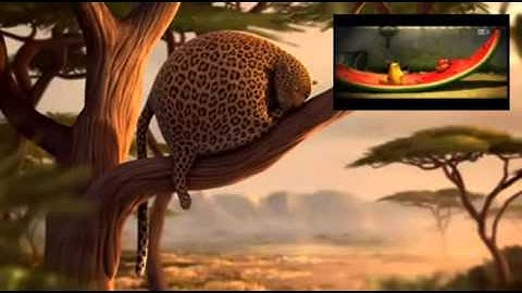 PIP output3 - PICTURE IN PICTURE using FFMPEG