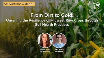 From Dirt to Gold: Unveiling the Resilience of Midwest Row Crops through Soil Health Practices