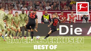 Best Of Bayer 04 Leverkusen 202324