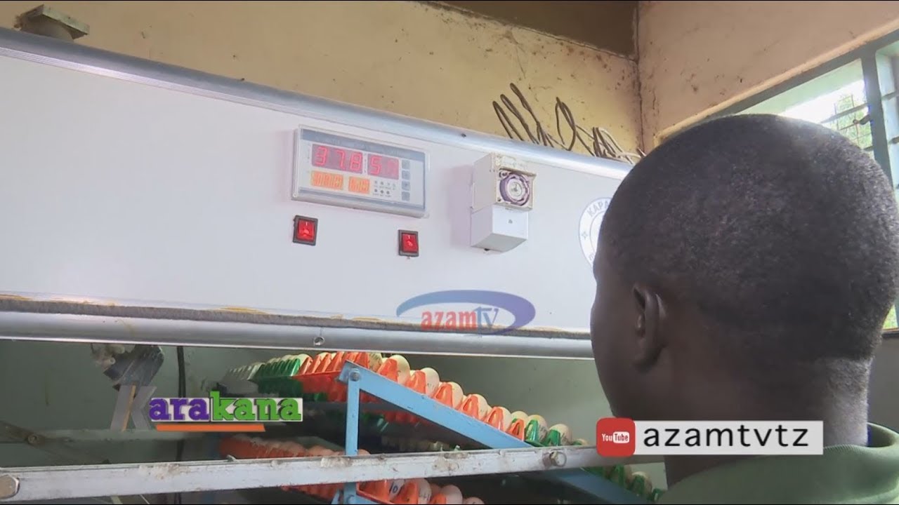 Azam TV - KARAKANA: Ubunifu wa kijana Jacob Luis katika utengenezaji wa viatamizi  (INCUBATOR)