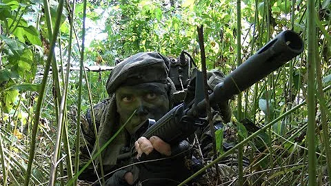 Common Tiger Stripe Camouflage patterns used by the U.S. during the Vietnam War - DayDayNews