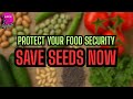 How to Save Your Own Seeds and Secure Your Food Future