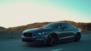 2016 Mustang GT 5.0 | Automotive Feature | Pittsburgh Horsepower