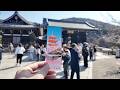 【3月27日】清水寺の隠れ桜スポットを含めて全ての桜を解説