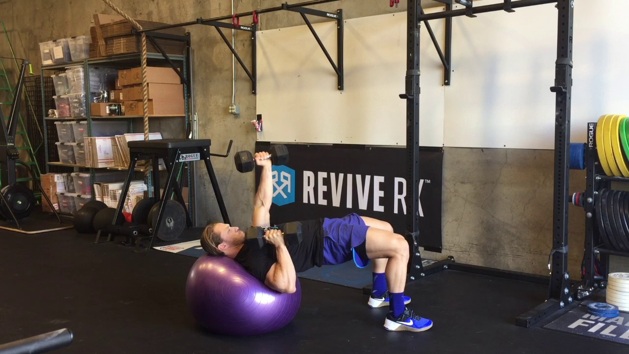 camera iphone 8 plus apk Physio Ball Alternating Dumbbell Chest Press (Bottom Up)