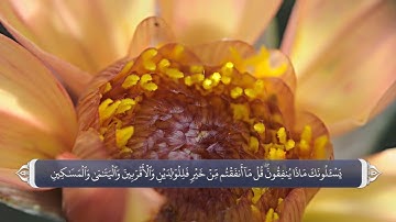 نام های الله متعال در قرآن آیه 215 سوره بقره