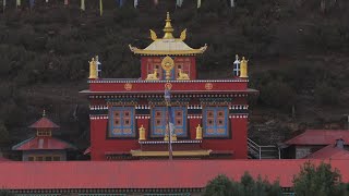 Study Tibetan Culture