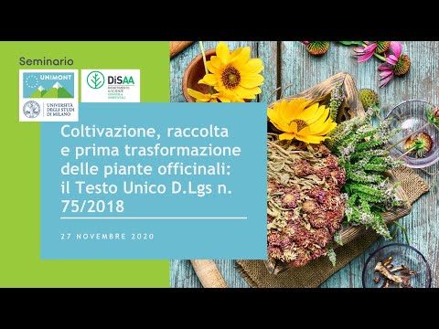 Coltivazione, raccolta e prima trasformazione delle piante officinali: Testo Unico D.Lgs n.75/2018
