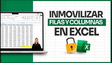¿Cómo inmovilizar filas y columnas en Excel?
