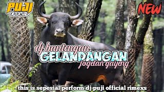 GELANDANGAN ♦ JINGGEL BANTENGAN JOGETAN GAYENG ♦ FROM DJ PUJI OFFICIAL