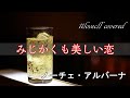 みじかくも美しい恋 ノーチェ・アルバーナ   cover by 11lovecall
