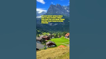 link in bio calm your inner chaos 🌿