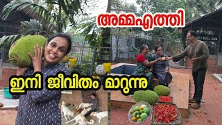  ആ ആഗ്രഹം നടന്നു ഒരു വർഷത്തിനുശേഷം   |Family | Celebration |Agriculture 