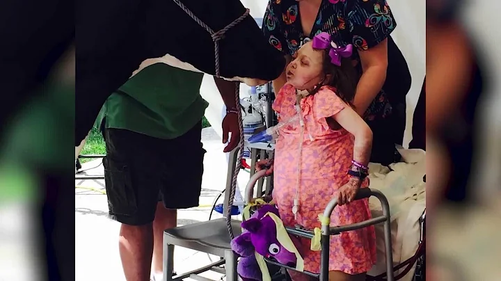 Grit With Grace: Pennsylvania Teen Chases Dairy Dr...