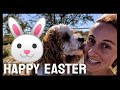 Happy Easter! (Also a Cardo Flash Sale!)