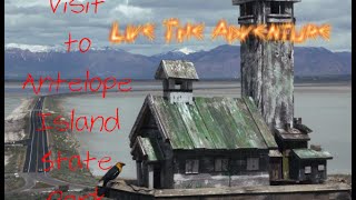 Visit to Antelope Island State Park