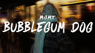 MGMT - Bubblegum Dog (Lyrics)