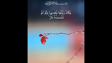 اللَّهُ نُورُ السَّمَوَاتِ وَالْأَرْضِ 💞حالات واتس أب قرآن كريم بصوت جميل جدا Quran ⚘️ ♥️
